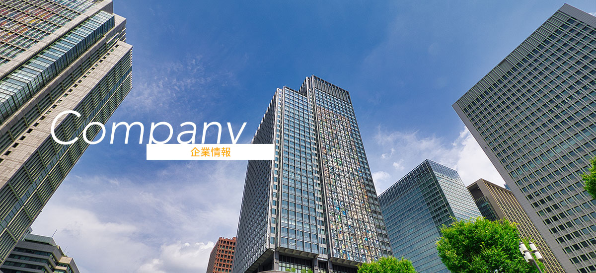 Company 会社概要